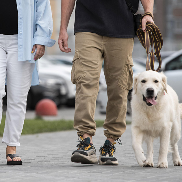 Werner Leeb Hundetraining